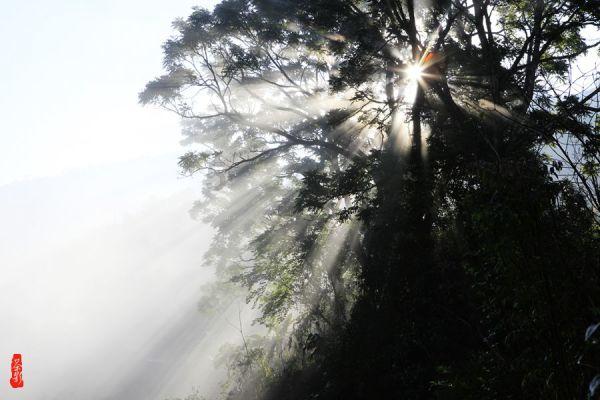 探寻吉鹿力之谜,精彩问答社区山西一位村民哽咽回忆村庄被淹,这场暴雨给当地村民造成了哪些伤害?
